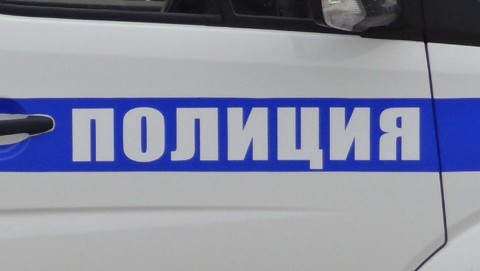 Полицейские установили лиц, причастных к гибели собак в селе Сидоровском Красносельского района.